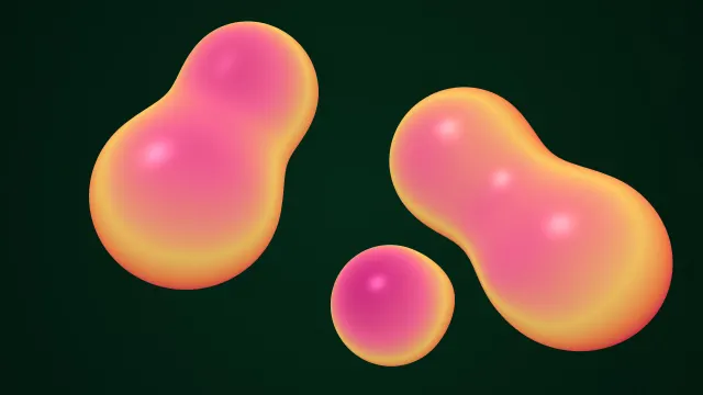 Fond d'écran Mac Bonbons thermiques Sapin