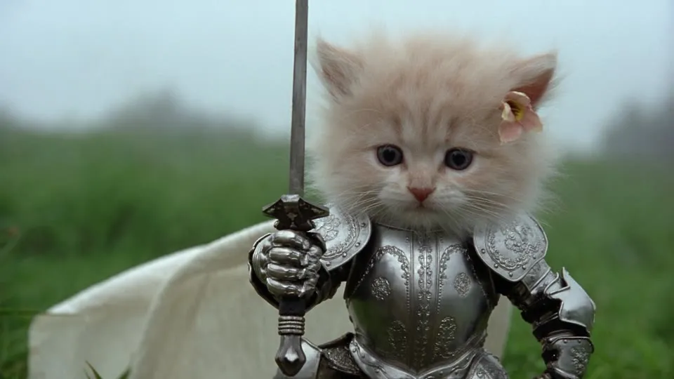 Knight Kitten : fond d'écran animé premium